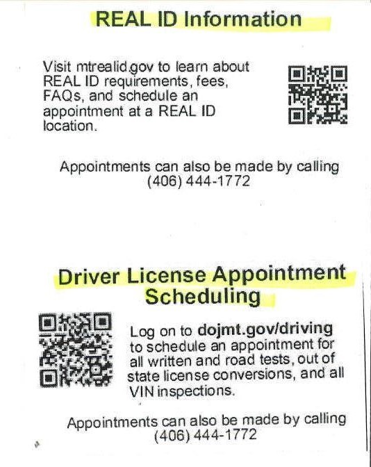 Driver's License information